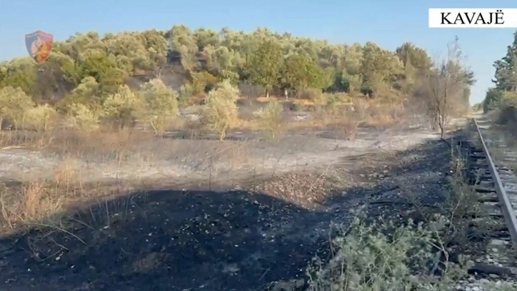 Zjarri dogji pemët në Kavajë, arrestohet autori i dyshuar