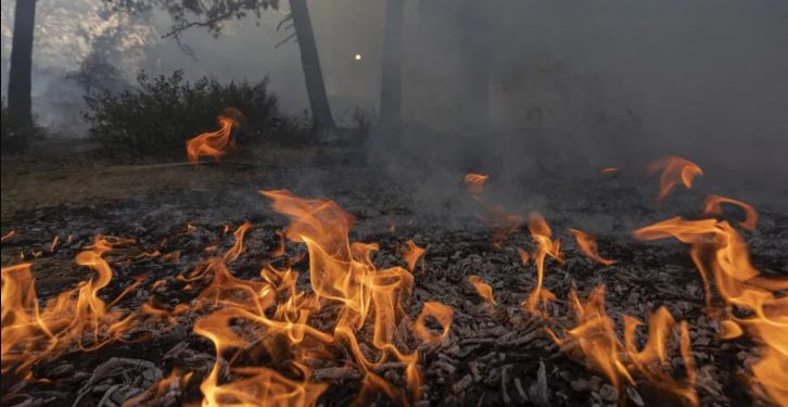 Zjarr në fshatin ‘Katund i Vjetër’ në Mirditë, flakët djegin masivin pyjor, forcat zjarrfikëse në terren