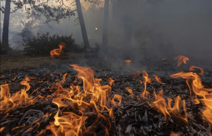 Zjarr në fshatin ‘Katund i Vjetër’ në Mirditë, flakët djegin masivin pyjor, forcat zjarrfikëse në terren