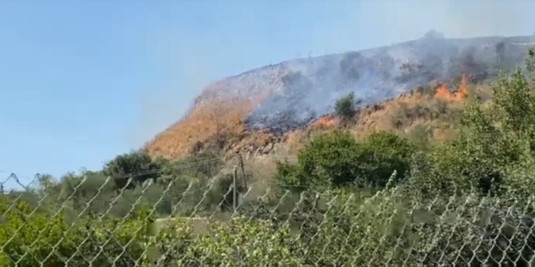 Përfshihen nga zjarri kodrat e fshatit Sejmenas në Lushnjë, rrezikohen banesat përreth