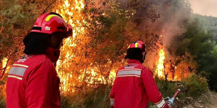 16 vatra zjarri gjatë 24 orëve, Ministria e Mbrojtjes: Vetëm 1 vatër aktive, një tjetër në monitorim