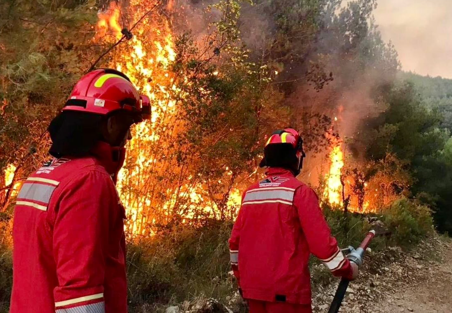 16 vatra zjarri gjatë 24 orëve, Ministria e Mbrojtjes: Vetëm 1 vatër aktive, një tjetër në monitorim