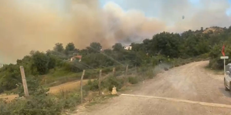 Viktima e parë nga zjarret në vendin tonë, reagon Ministria e Mbrojtjes