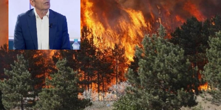Situata e përsëritur me zjarret vitet e fundit, eksperti i sigurisë: Kambanë alarmi, janë 325 mln euro dëme këtë verë