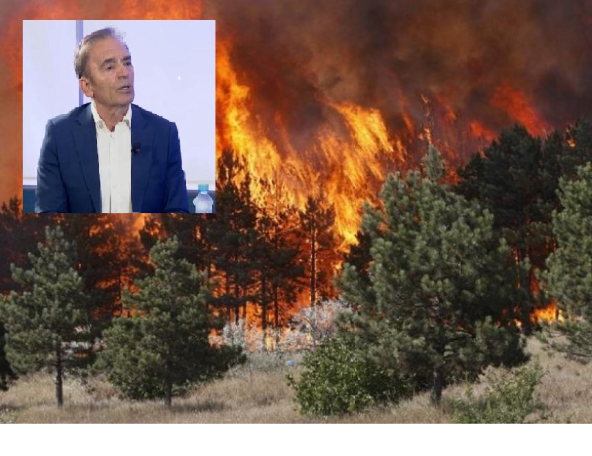 Situata e përsëritur me zjarret vitet e fundit, eksperti i sigurisë: Kambanë alarmi, janë 325 mln euro dëme këtë verë