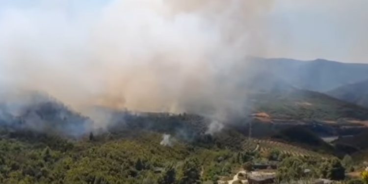 Për të dytën herë brenda pak ditësh! Zjarr pranë Uzinës së Armëve në Poliçan