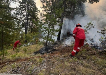 Zjarri në Skënderbegas, bëhet bilanci i dëmeve/ 68 banesa të djegura, 10 prej tyre totalisht. 215 bagëti të ngordhura