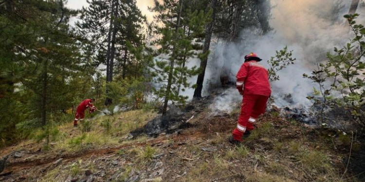 Zjarri në Skënderbegas, bëhet bilanci i dëmeve/ 68 banesa të djegura, 10 prej tyre totalisht. 215 bagëti të ngordhura