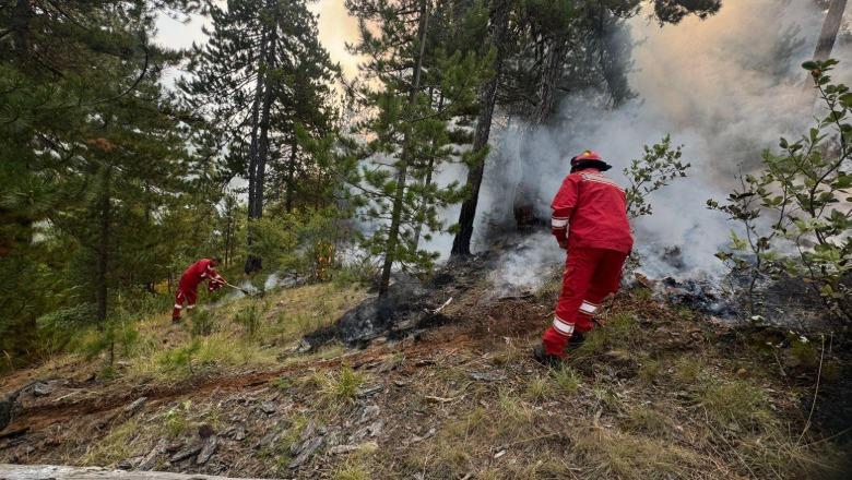 Zjarri në Skënderbegas, bëhet bilanci i dëmeve/ 68 banesa të djegura, 10 prej tyre totalisht. 215 bagëti të ngordhura