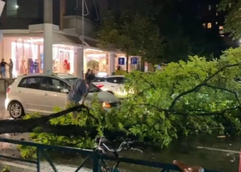 Era e fortë thyen degën e pemës në Tiranë, bllokohet pjesërisht qarkullimi në Rrugën e Elbasanit