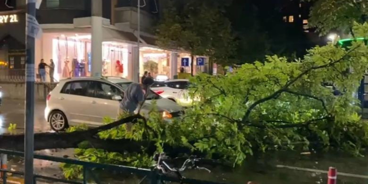Era e fortë thyen degën e pemës në Tiranë, bllokohet pjesërisht qarkullimi në Rrugën e Elbasanit