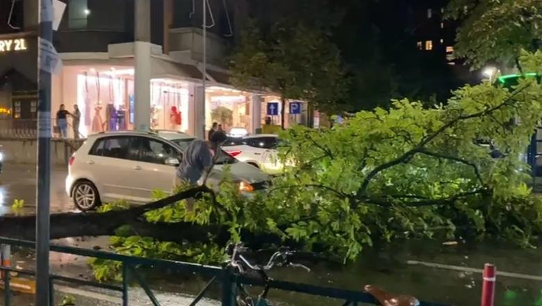Era e fortë thyen degën e pemës në Tiranë, bllokohet pjesërisht qarkullimi në Rrugën e Elbasanit