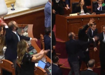 Bardhi reagon pas seancës: Diella nuk është vizion, por fasada virtuale e vjedhjeve