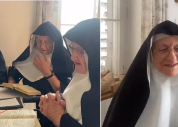 VIDEO / Murgeshat e pabindura ikën nga azili, rikthehen në manastir në Alpe
