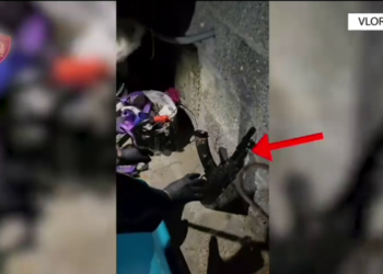 Mbanin armë dhe municione në shtëpi, arrestohen babë e bir në Mifol