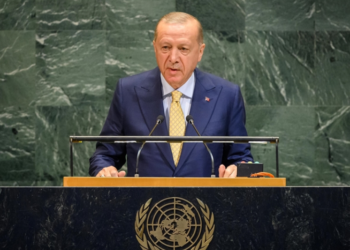 VIDEO / Erdoganit i fikin mikrofonin teksa fliste për Palestinën në OKB, reagon Presidenca turke
