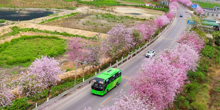Autobusët e rinj me energji të re përbëjnë 82.7% të autobusëve publikë…