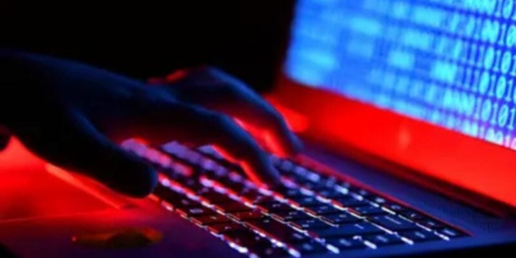 “XUEX”/ Skemat piramidale online, vihet në pranga organizatori kryesor i zonës së Divjakës (EMRI)