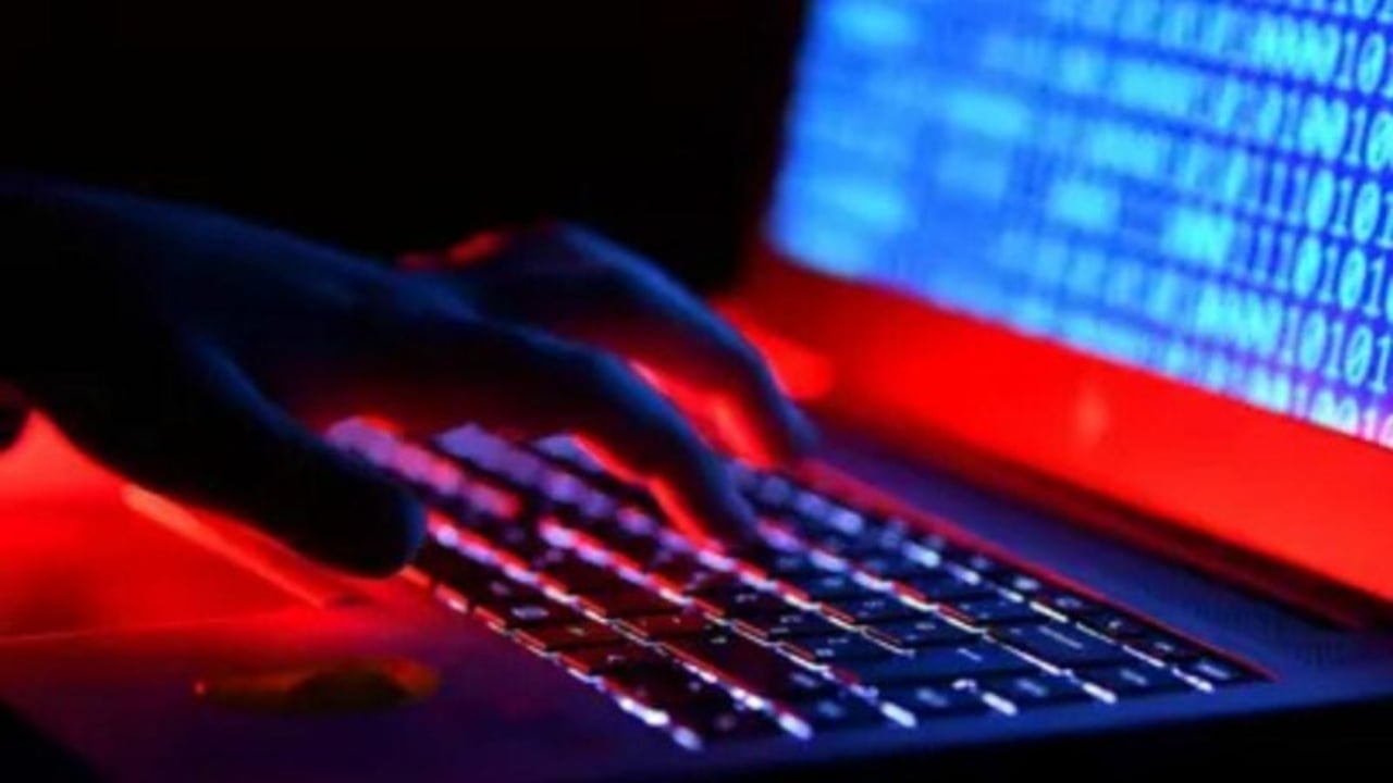 “XUEX”/ Skemat piramidale online, vihet në pranga organizatori kryesor i zonës së Divjakës (EMRI)
