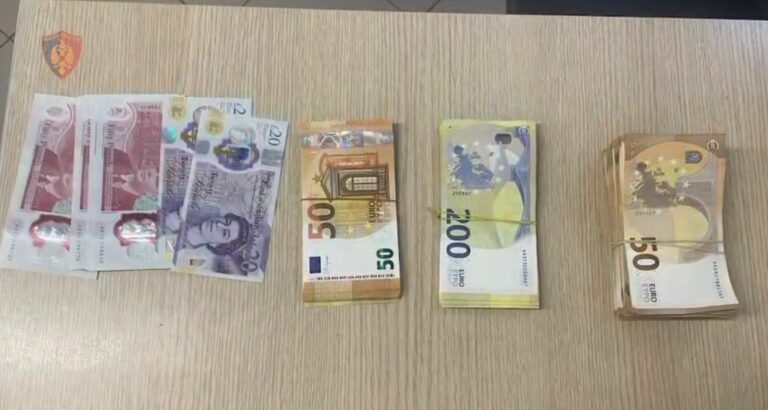 Merrnin deri në 35 mijë dollarë, goditet rrjeti që trafikonte njerëz në SHBA dhe Kanada