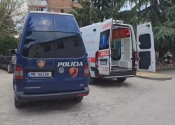 Tiranë, të shtëna me armë zjarri te diga e Liqenit Artificial