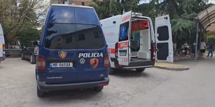Tiranë, të shtëna me armë zjarri te diga e Liqenit Artificial
