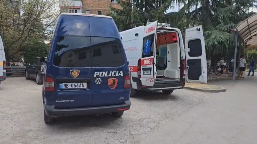 Tiranë, të shtëna me armë zjarri te diga e Liqenit Artificial