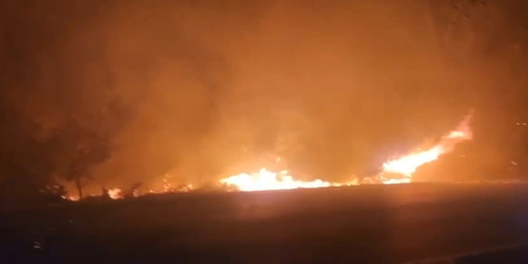 Zjarrvënia, kodi i ri penal parashikon nene shtesë! Manja: 4 deri në 10 vite burg kush ndez zjarr në..