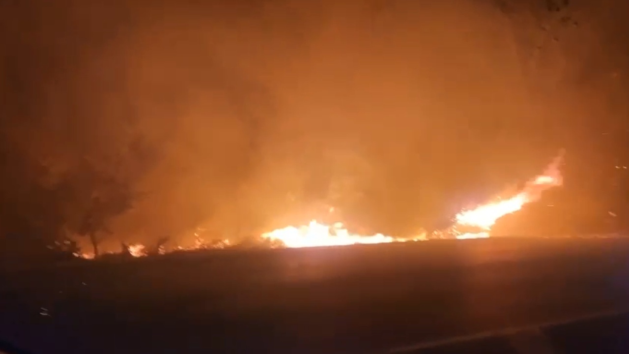 Zjarrvënia, kodi i ri penal parashikon nene shtesë! Manja: 4 deri në 10 vite burg kush ndez zjarr në..