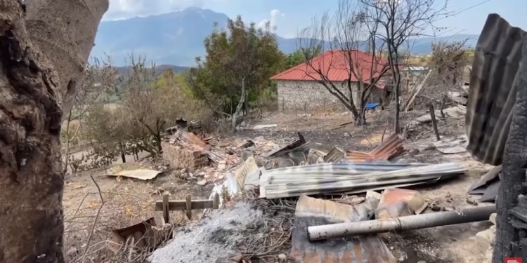 Bilanci i fshatit në Gramsh që “e zhduku” zjarri: 68 banesa dhe mijëra hektarë të djegura, 231 bagëti të ngordhura