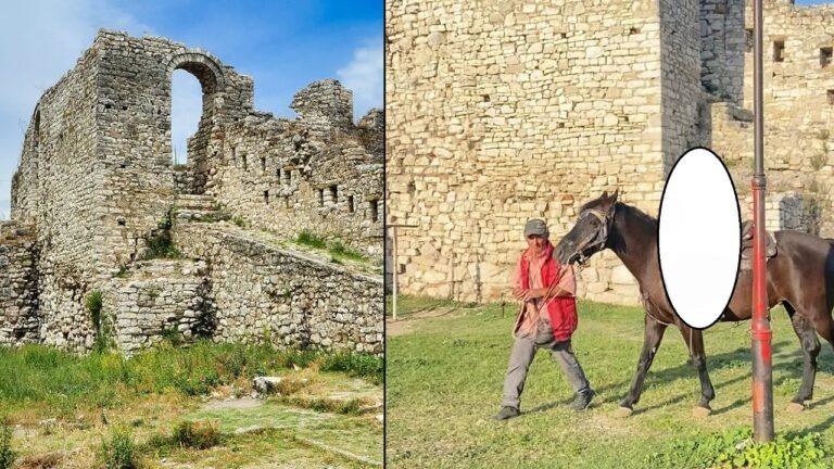FOTO/ Ky është autori i vrasjes së 42-vjeçarit në Berat E goditi viktimën pas sherrit për kalin