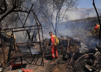 Bilanci i dëmeve nga zjarret në Delvinë, 9.5 miliardë lekë. Më e prekura, bujqësia!