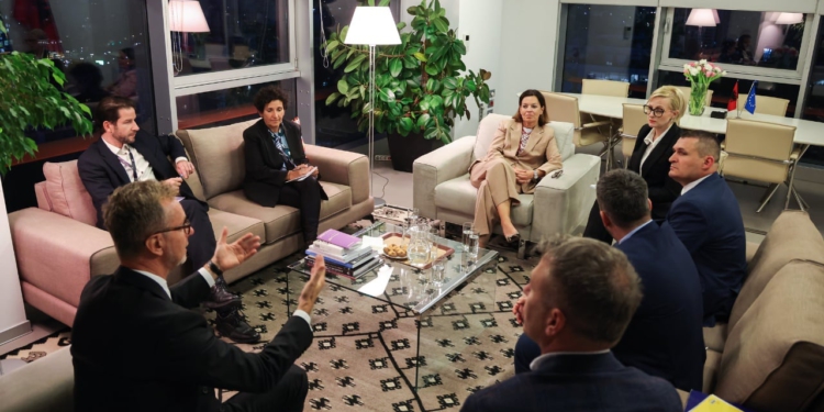 Altin Dumani raporton në Bruksel/ Zyrtarja e BE-së në Tiranë: Do tregojë arritjet e mandatit të tij