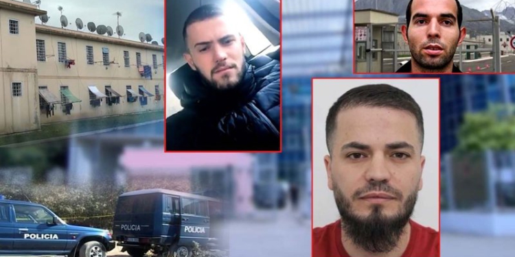 “S’do ndalem deri sa t’i vras të gjithë burrat e tyre”/ Zbardhen bisedat e Aurel Hoxhës në SkyECC