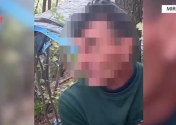 Kapet në flagrancë duke kultivuar kanabis, arrestohet 51-vjeçari në Mirditë