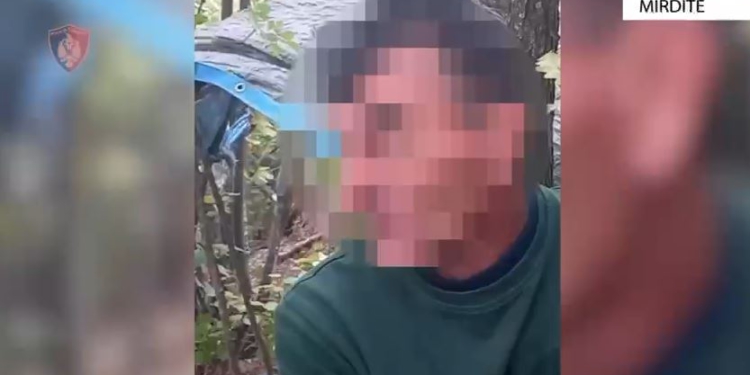 Kapet në flagrancë duke kultivuar kanabis, arrestohet 51-vjeçari në Mirditë