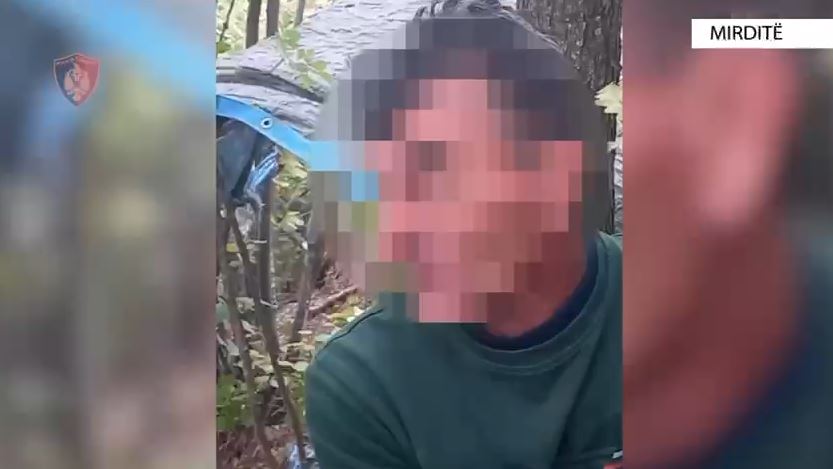 Kapet në flagrancë duke kultivuar kanabis, arrestohet 51-vjeçari në Mirditë