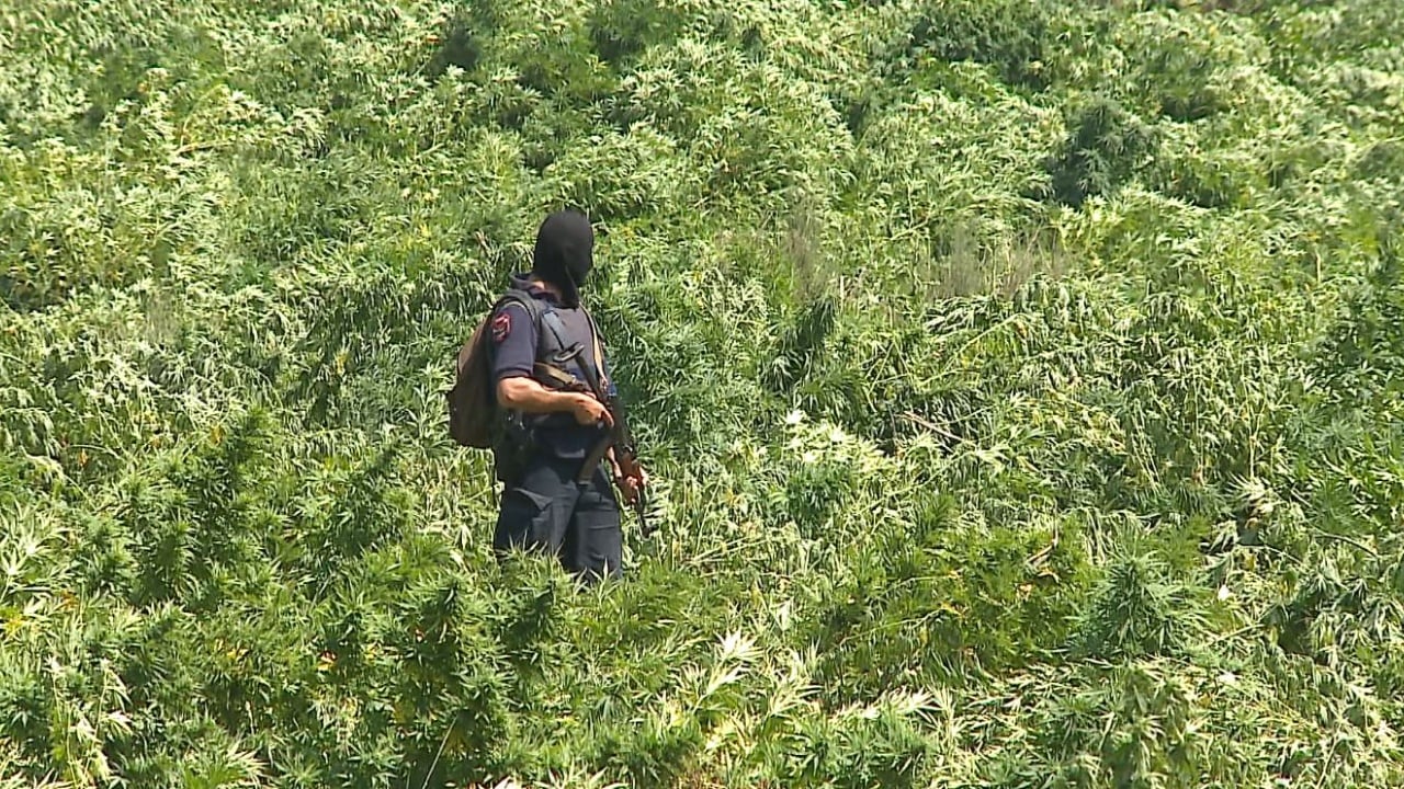 Mbyllet dosja për bandën e hashashit, Apeli i GJKKO merr vendim për 32 të akuzuarit, ulet dënimi për 10 prej tyre