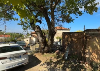 E rëndë në Pogradec/ Aktivizoi gjatë punës një granatë të Luftës së Dytë Botërore, plagoset 49-vjeçari (EMRI)