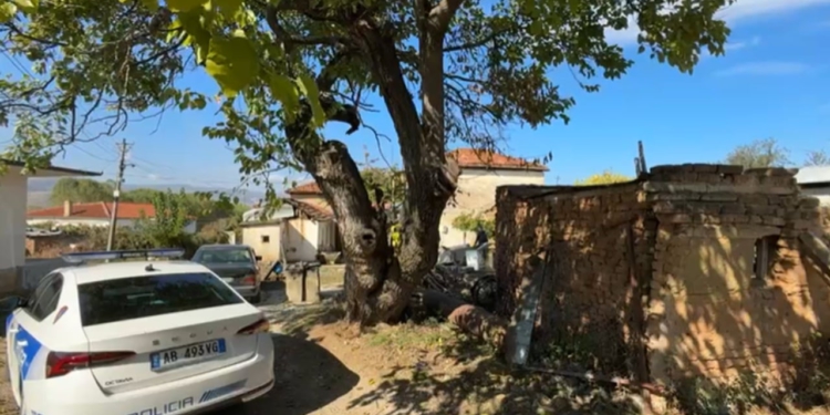 E rëndë në Pogradec/ Aktivizoi gjatë punës një granatë të Luftës së Dytë Botërore, plagoset 49-vjeçari (EMRI)