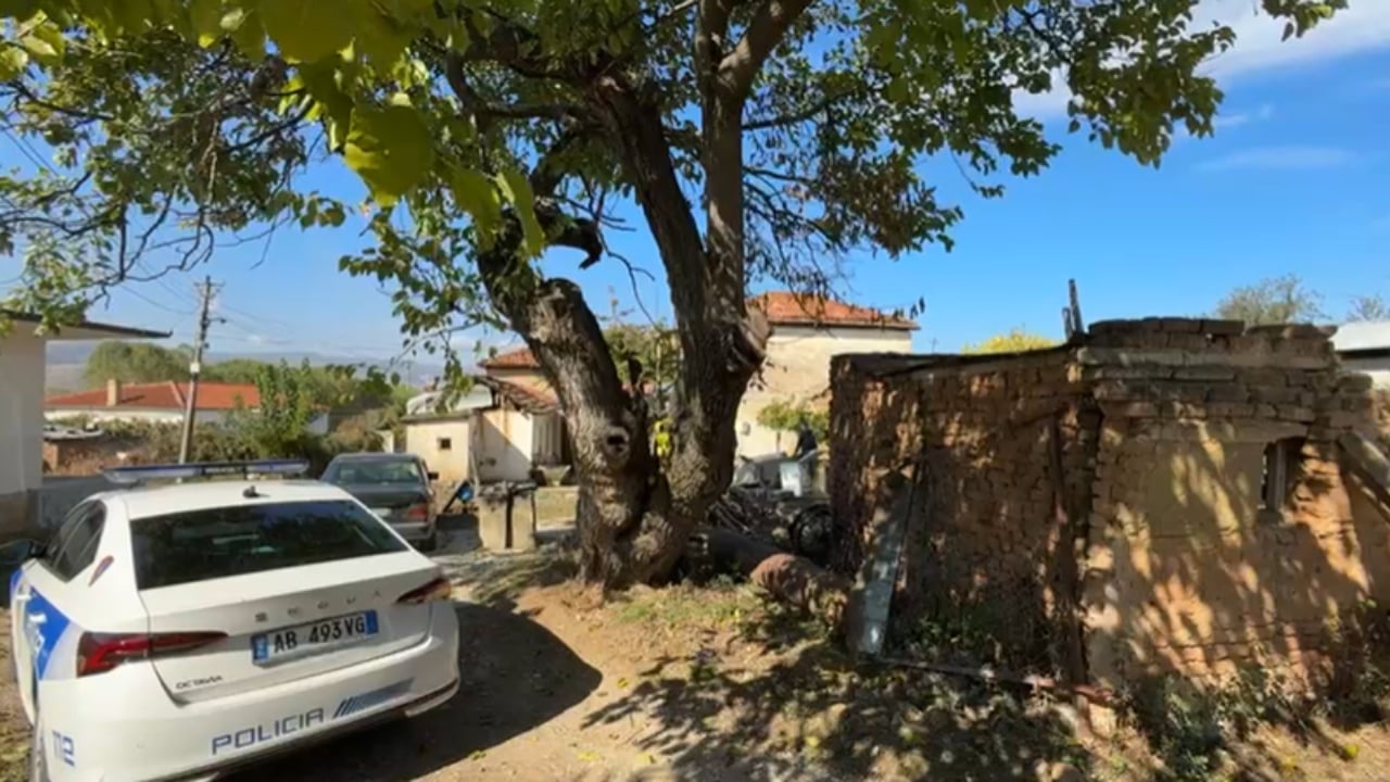 E rëndë në Pogradec/ Aktivizoi gjatë punës një granatë të Luftës së Dytë Botërore, plagoset 49-vjeçari (EMRI)