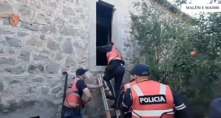 Tre “shtëpi bari” në Shkodër/ Dy në pranga, ndalohen edhe 4 punonjës të OSHEE të dyshuar për shpërdorim detyre