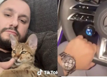 “Skifteri” nga Lezha me Rolex dhe Lamborghini, “The Telegraph”: Bën karshillëk, teksa kundërshton dëbimin