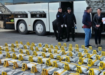 Një muaj paraburgim për shoferin e autobusit që tentoi të transportonte 120 kg marihuanë nga Shqipëria drejt Kosovës