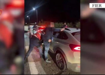 Në kërkim për vjedhje me dhunë të një makine, arrestohet 46-vjeçari në Lushnjë! Në pranga edhe një tjetër(EMRAT-VIDEO)