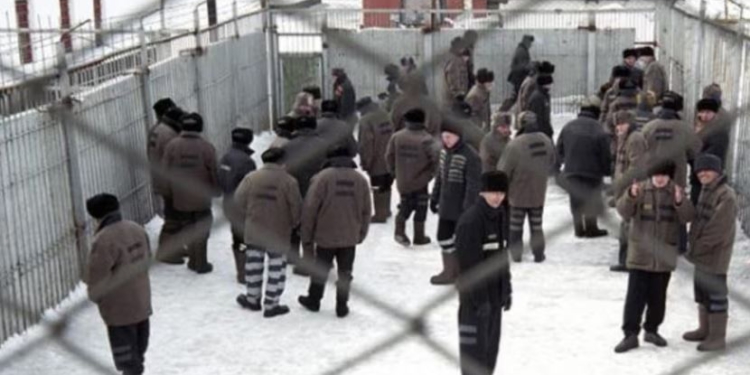 “Doktori Shpirtlig”- Ushtarëve ukrainas u fanitet tmerri i një burgu rus! Rrëfimi: Zvarritesha në dyshemenë e qelisë ndërsa më lëshonin qentë sipër!