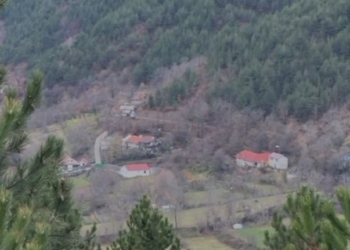 Fushë-Arrëz, 2 personat e armatosur vijojnë të ngujuar në banesë. Vëllai i njërit prej tyre dërgohet për negociata! Vijojnë thirrjet për..