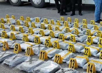 120 kg kanabis nga Shqipëria drejt Kosovës, arrestohet shoferi i autobusit pa pasagjerë