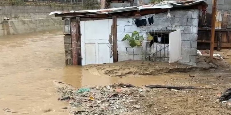EMRI-U zhduk një ditë më parë, gjendet e mbytur moshuara në Korçë. Ja ku u gjet trupi i pajetë
