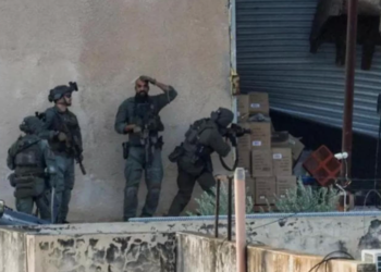 Pamje tronditëse, palestinezët e paarmatosur ekzekutohen nga forcat izraelite në Jenin